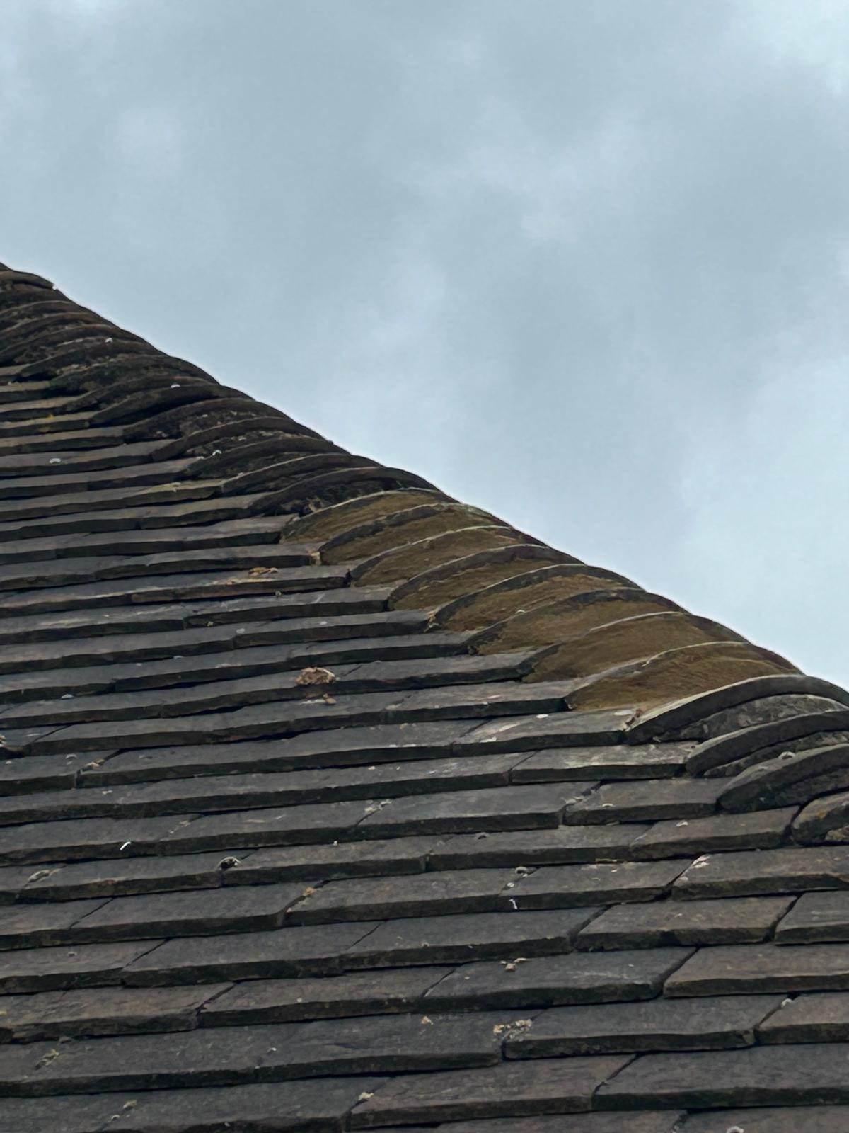 Royal Oak job photo 31