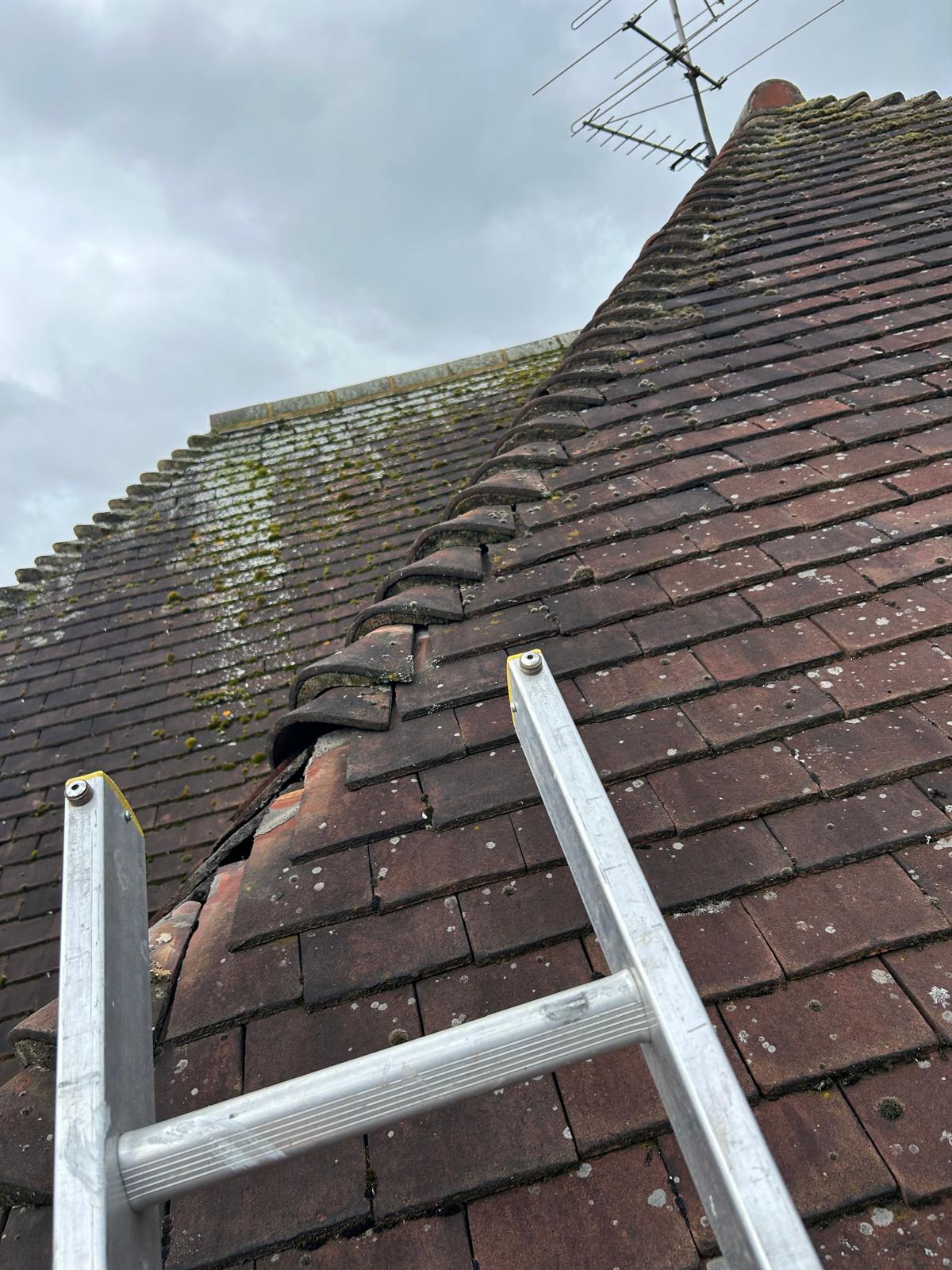 Royal Oak job photo 10