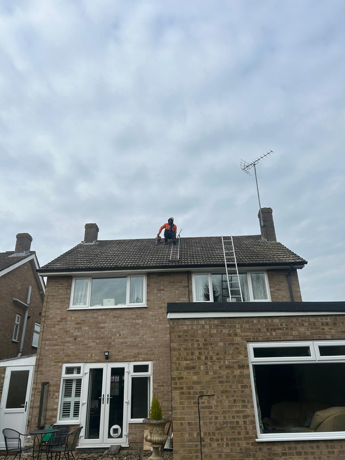 Royal Oak job photo 26