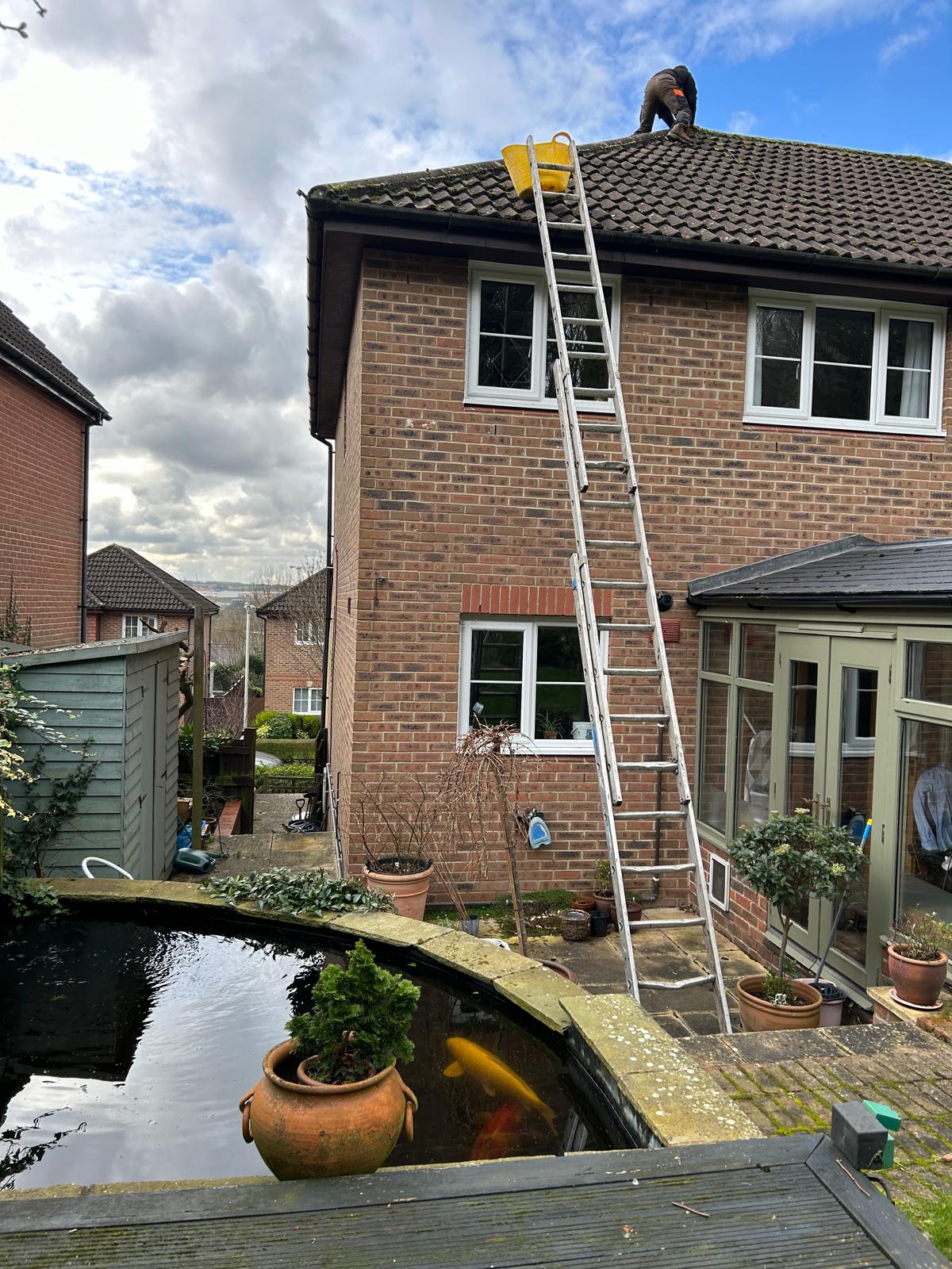 Royal Oak job photo 32